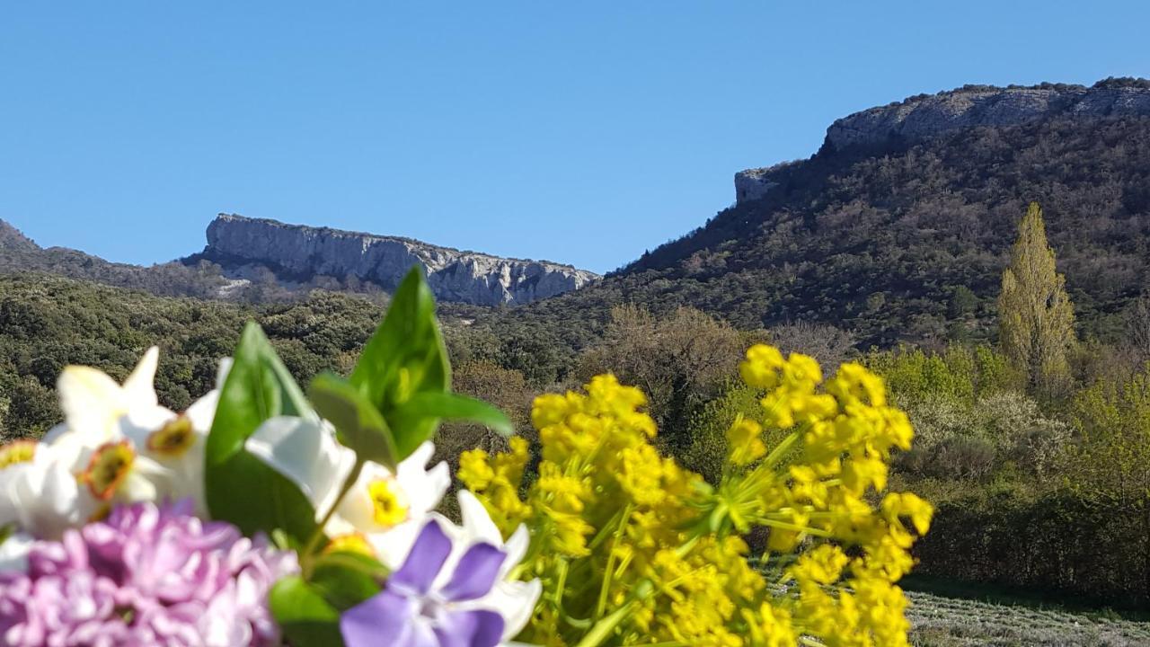 Un Petit Coin De Paradis Le Pegue Buitenkant foto